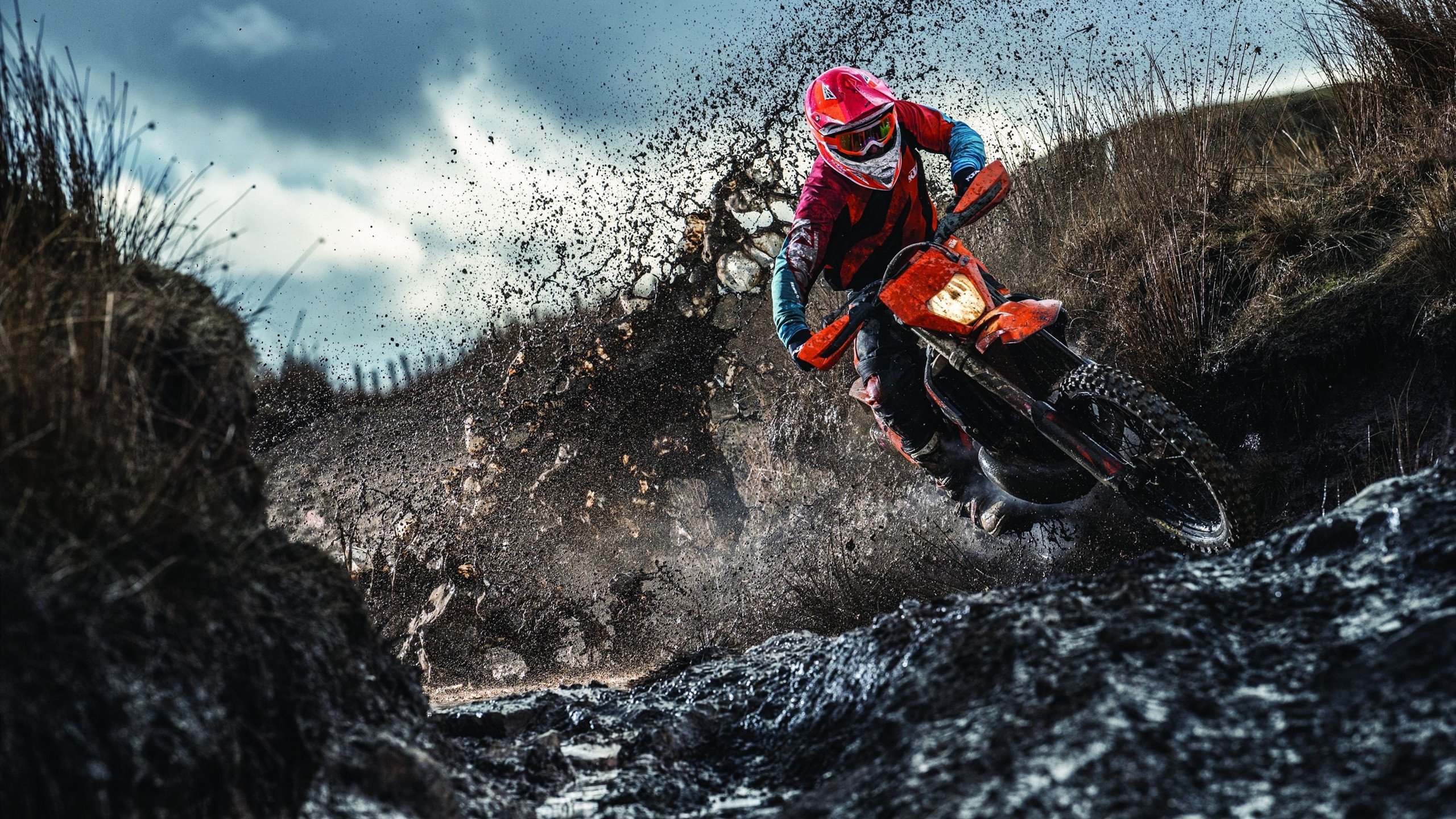 mk体育直播官网-布莱顿的创造力：德泽尔比的进攻哲学，布莱顿战术